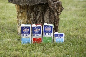 4 briques de lait de la gamme Premium Verneuil dans l'herbe devant un tronc d'arbre