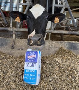 Brique 1L Premium demi-écrémé de Verneuil avec une vache noire et blanche derrière